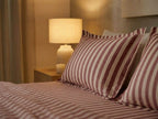 Havana Stripe - Rose
