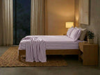 Havana Stripe - Berry