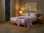 Havana Stripe - Berry